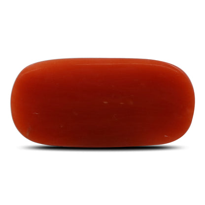 Red Coral (Moonga) - 5.8 Carat