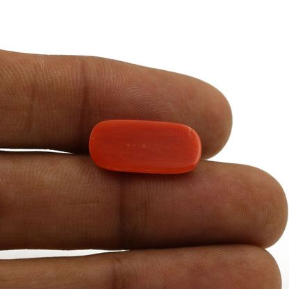 Red Coral (Moonga) - 5.8 Carat