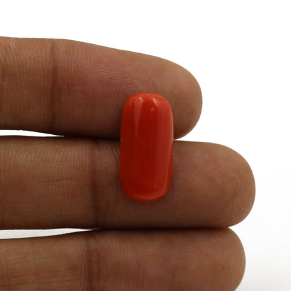 Red Coral (Moonga) - 5.8 Carat