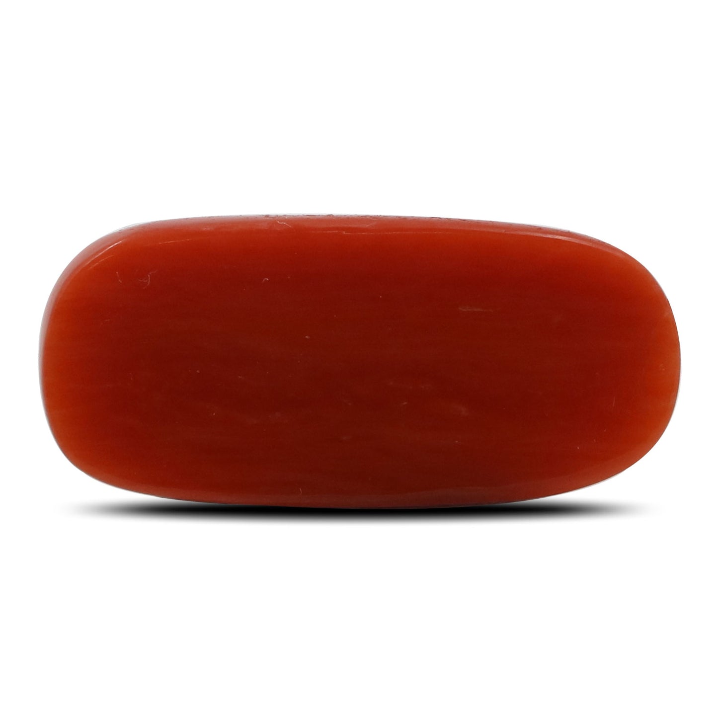 Red Coral (Moonga) - 6.52 Carat