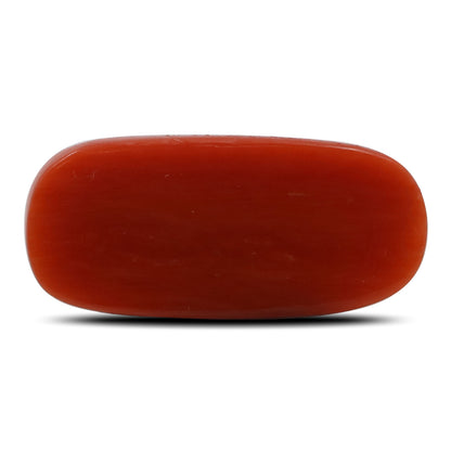 Red Coral (Moonga) - 6.52 Carat