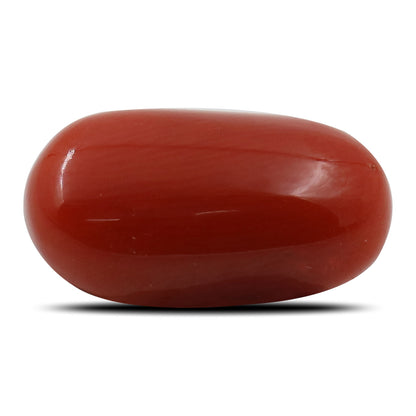 Red Coral (Moonga) - 5.55 Carat