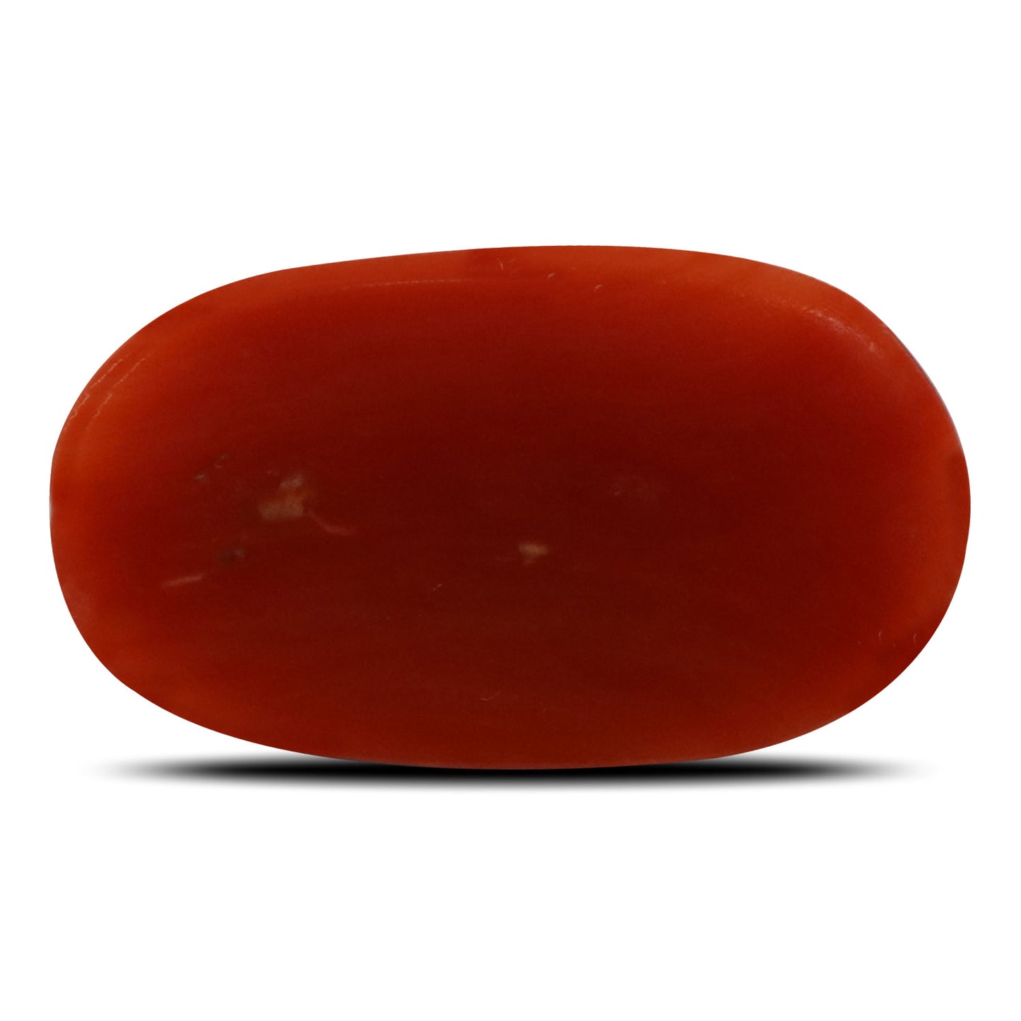 Red Coral (Moonga) - 5.55 Carat