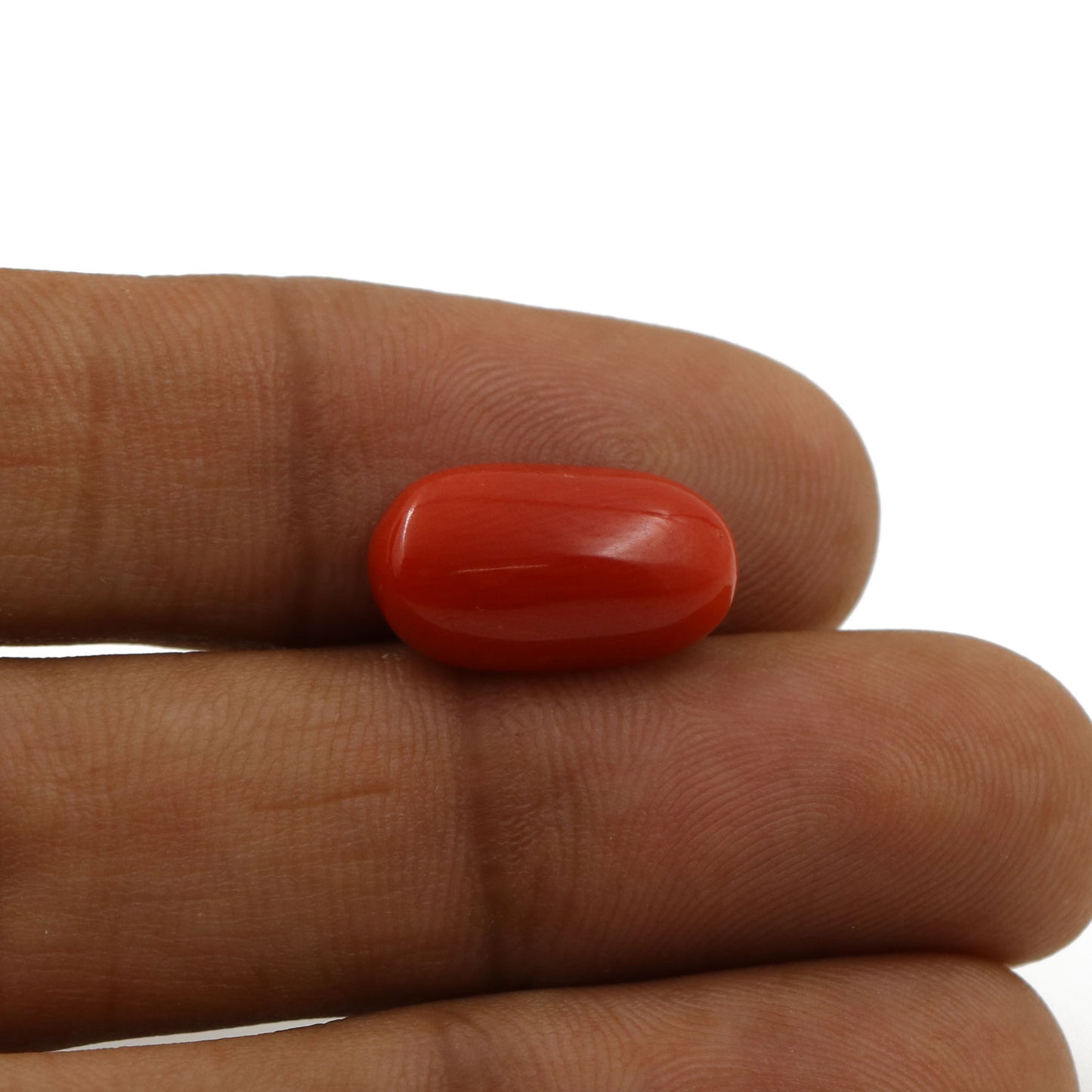 Red Coral (Moonga) - 5.55 Carat