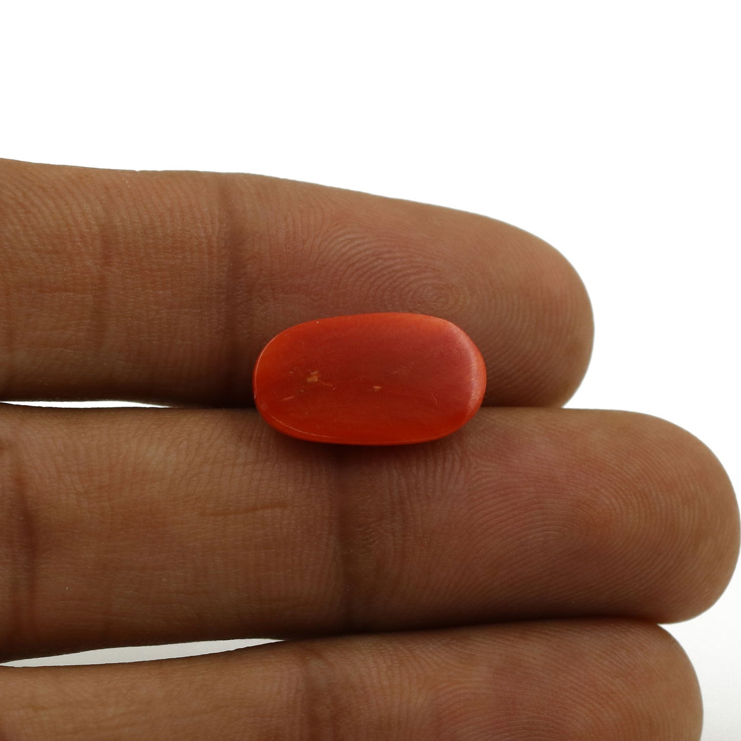 Red Coral (Moonga) - 5.55 Carat