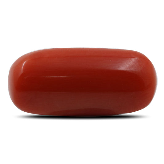 Red Coral (Moonga) - 6.8 Carat