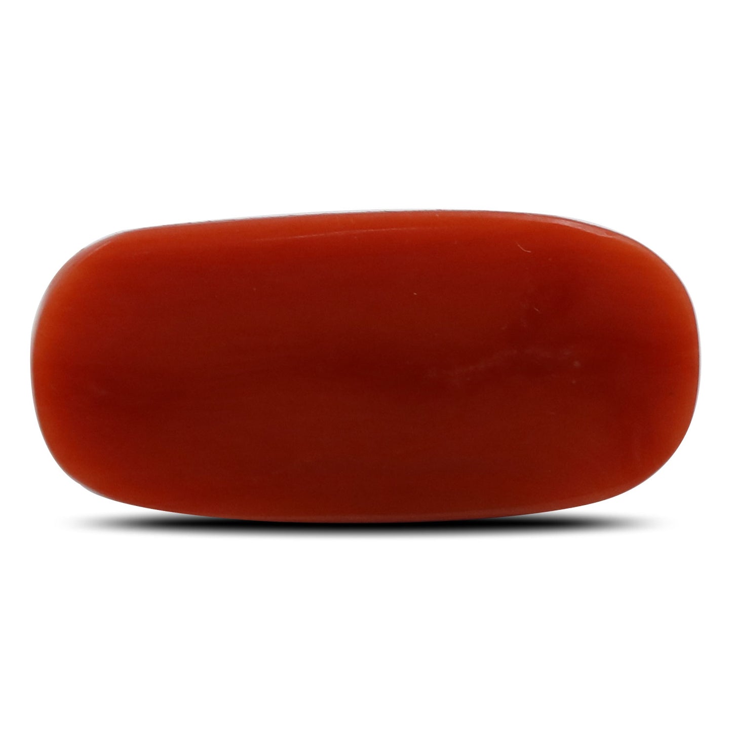 Red Coral (Moonga) - 6.8 Carat