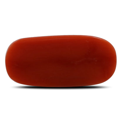 Red Coral (Moonga) - 6.8 Carat
