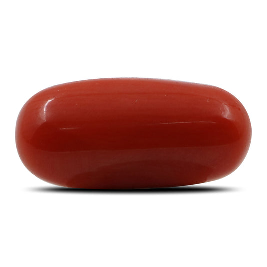 Red Coral (Moonga) - 5.51 Carat