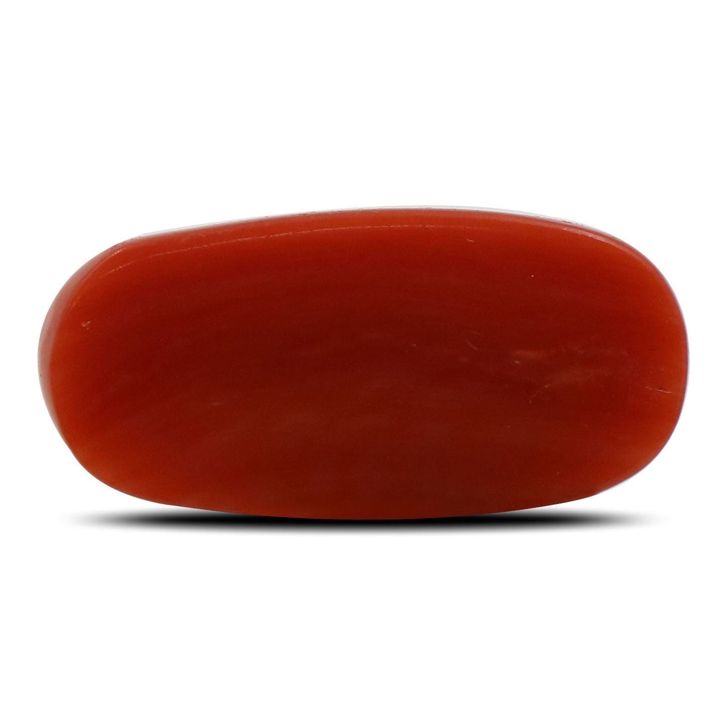 Red Coral (Moonga) - 5.51 Carat
