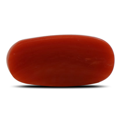 Red Coral (Moonga) - 5.51 Carat