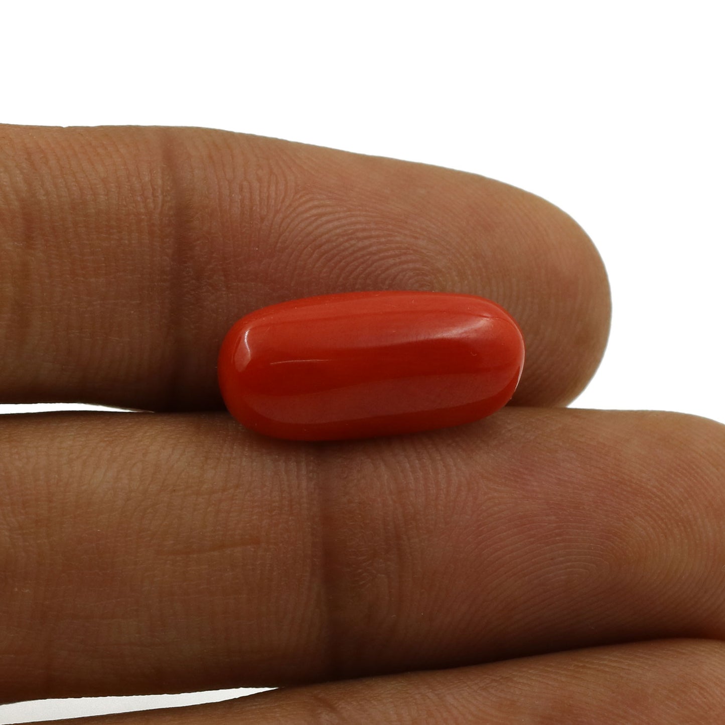 Red Coral (Moonga) - 5.51 Carat