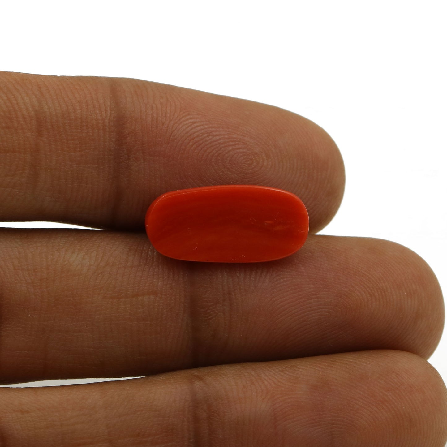 Red Coral (Moonga) - 5.51 Carat