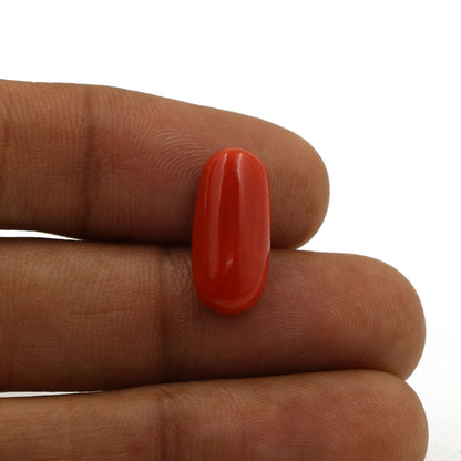 Red Coral (Moonga) - 5.51 Carat