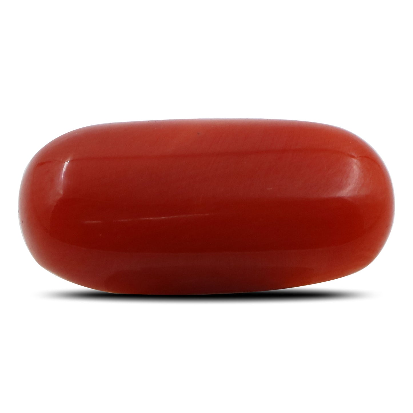Red Coral (Moonga) - 6.27 Carat
