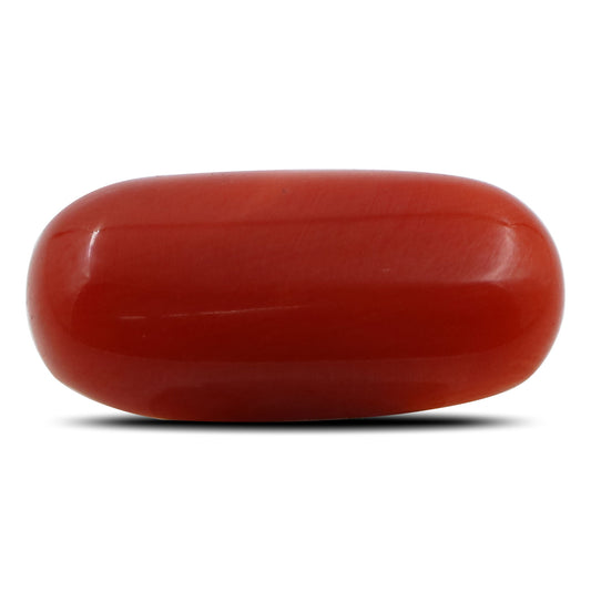 Red Coral (Moonga) - 6.27 Carat