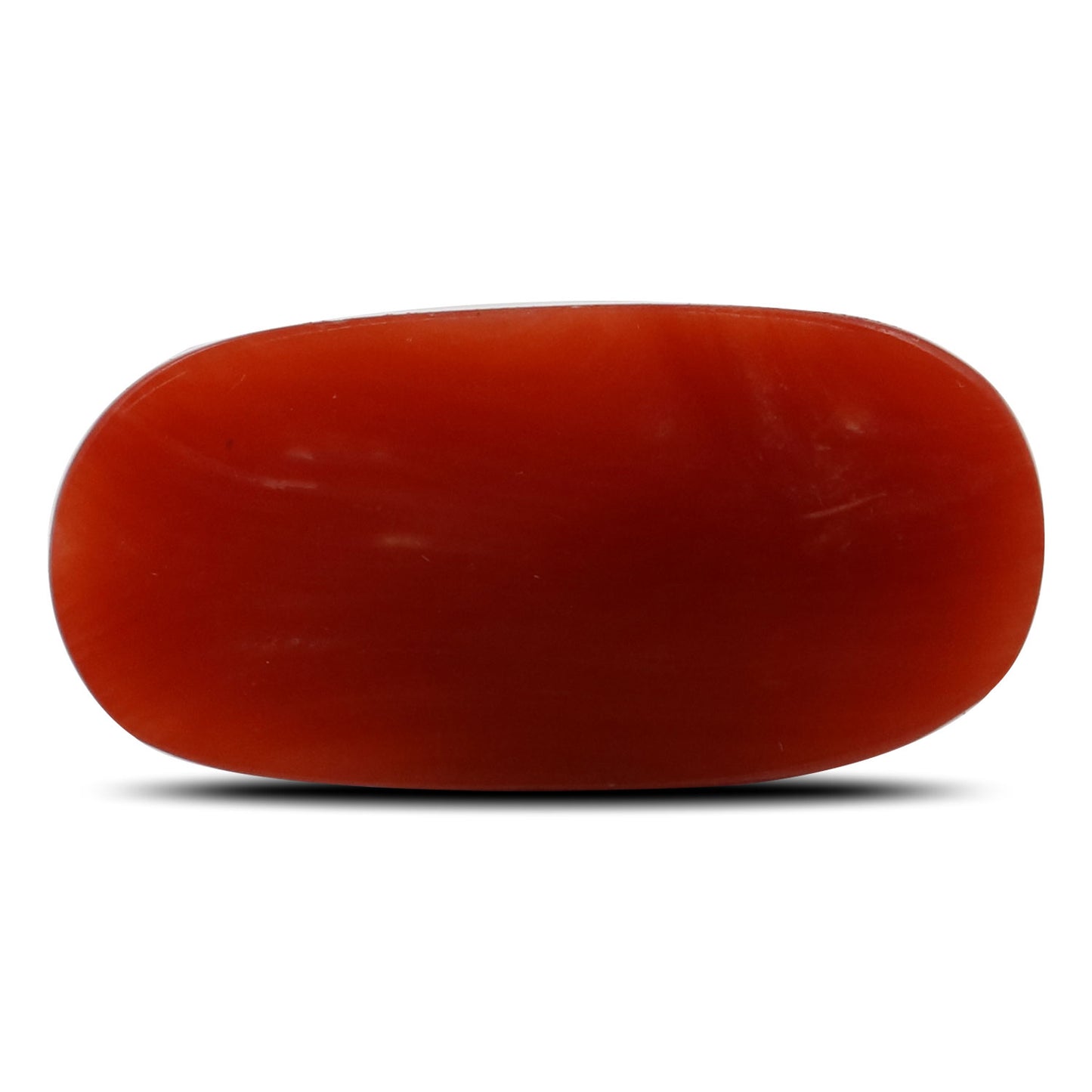 Red Coral (Moonga) - 6.27 Carat
