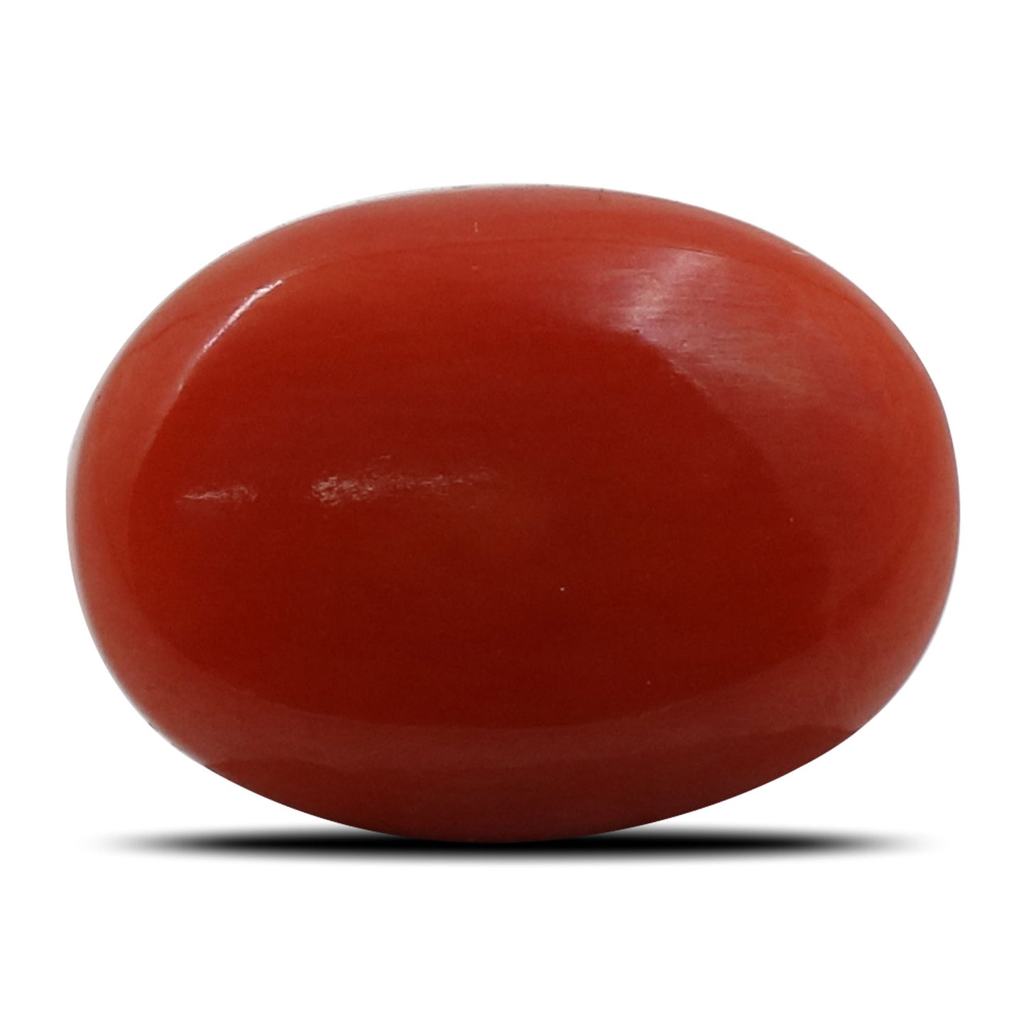 Red Coral (Moonga) - 5.08 Carat