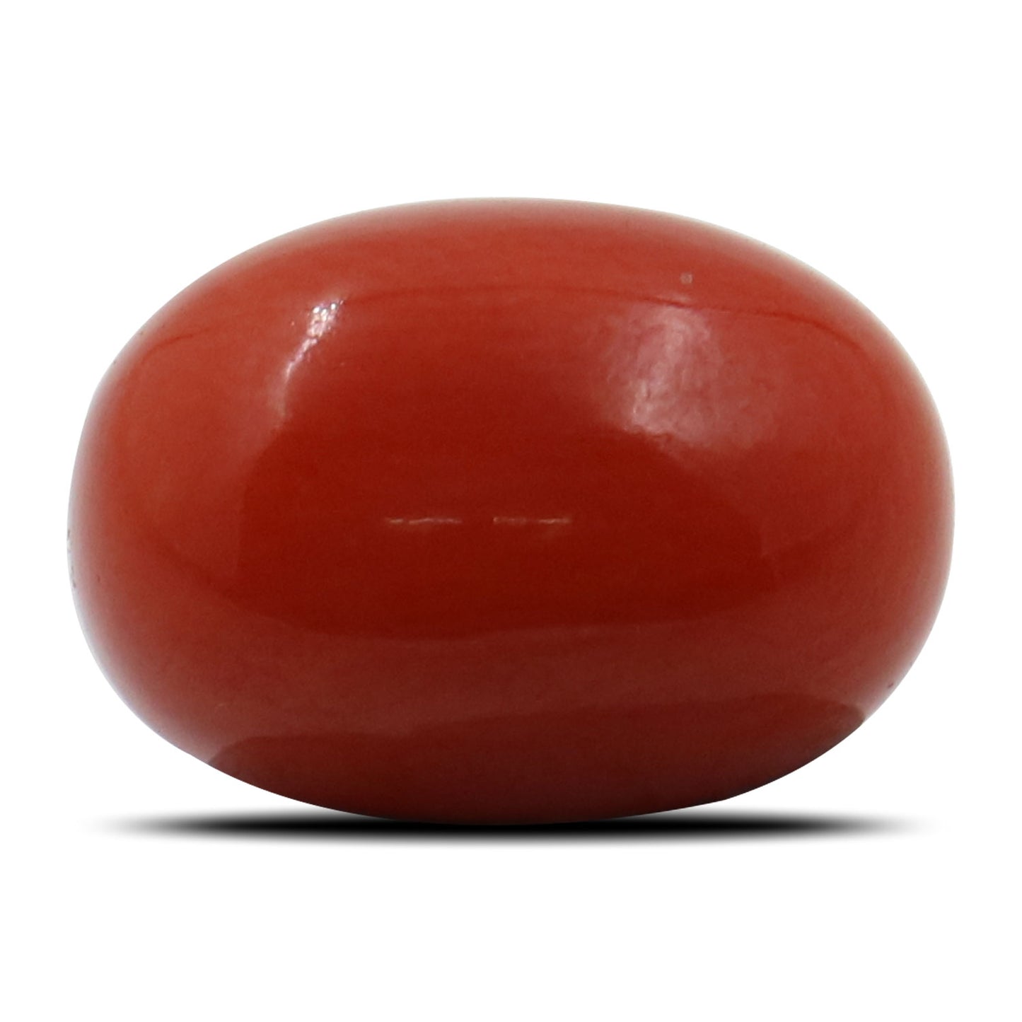 Red Coral (Moonga) - 5.88 Carat