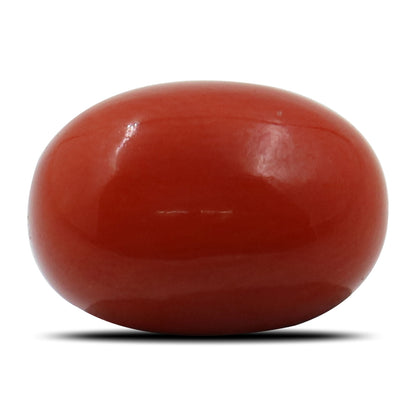 Red Coral (Moonga) - 5.88 Carat