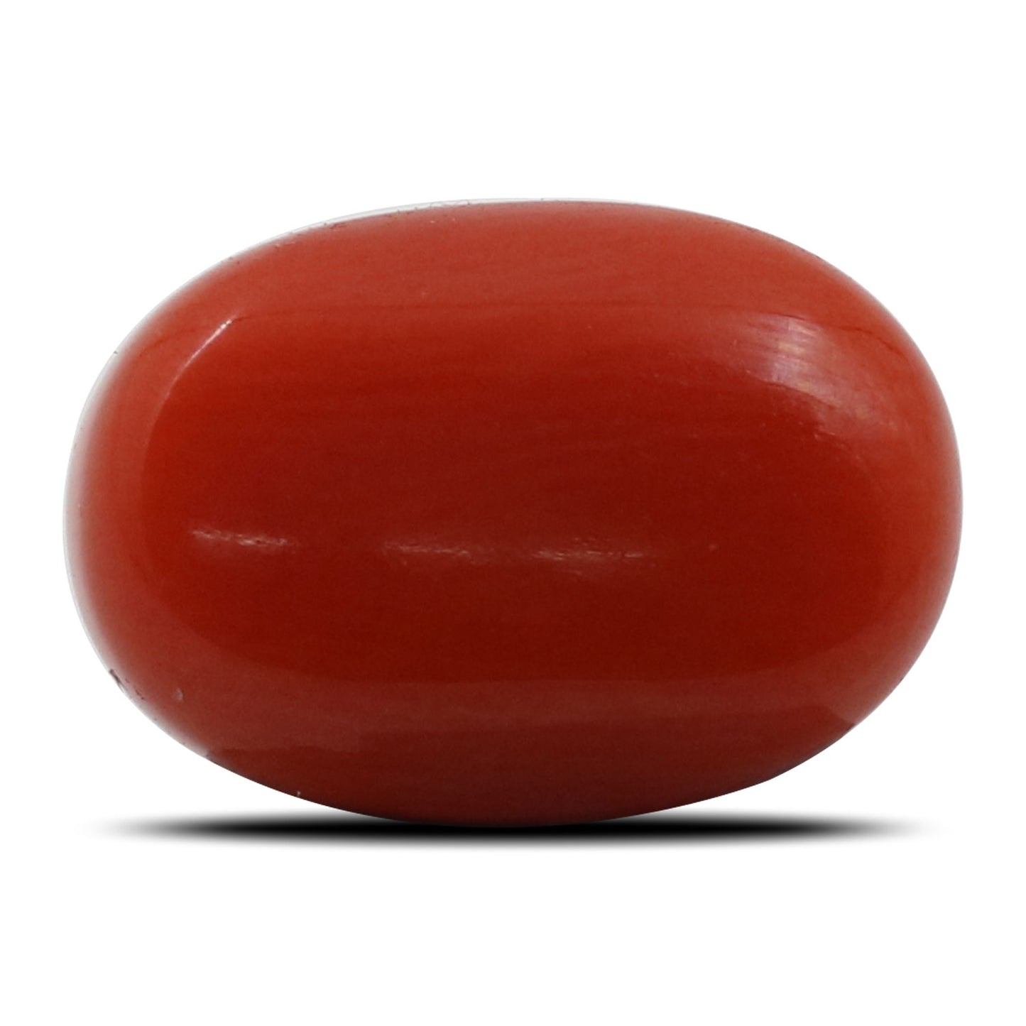 Red Coral (Moonga) - 5.88 Carat