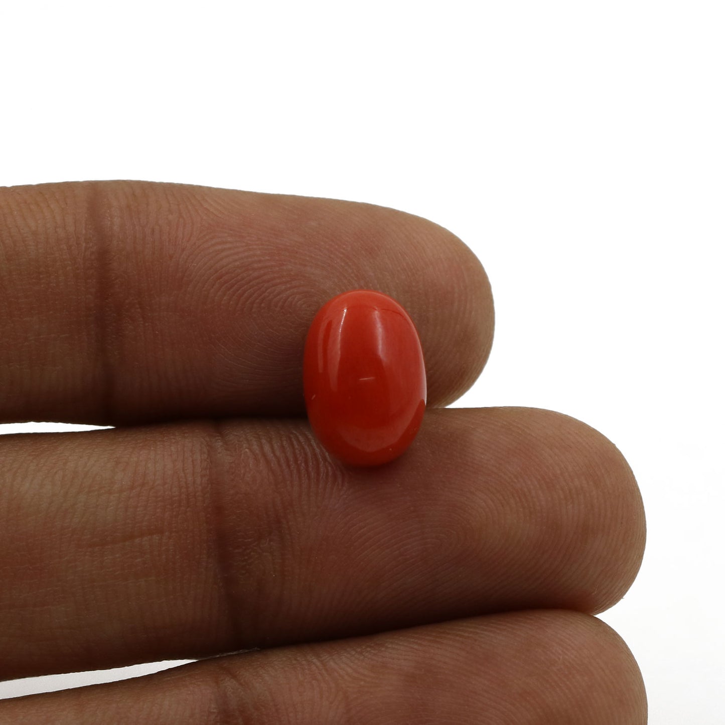 Red Coral (Moonga) - 5.88 Carat