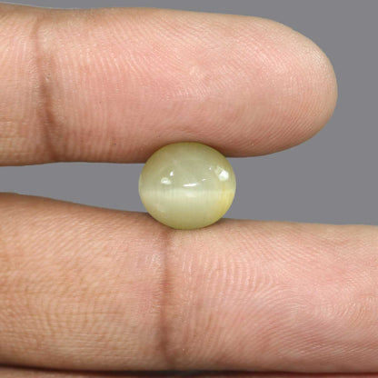 Quartz Cat's Eye - 6.39 Carat
