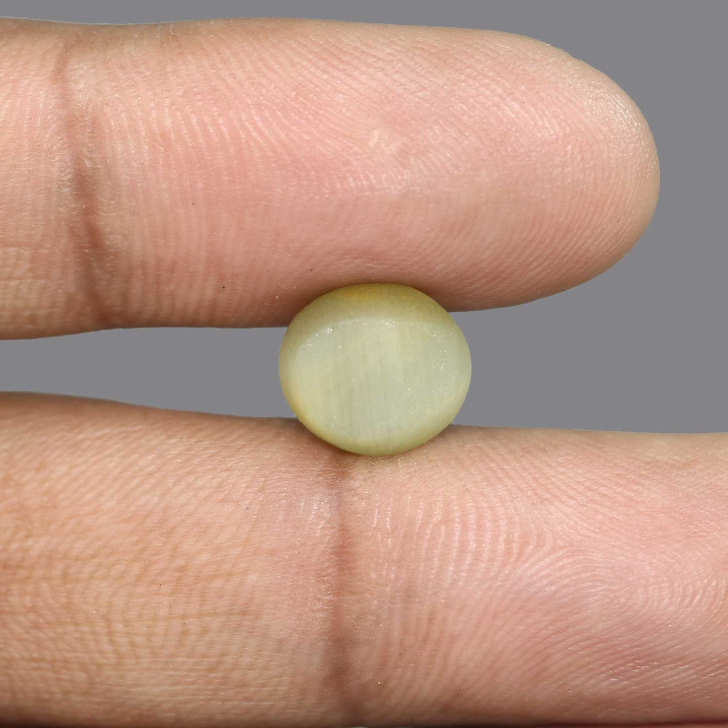 Quartz Cat's Eye - 6.39 Carat