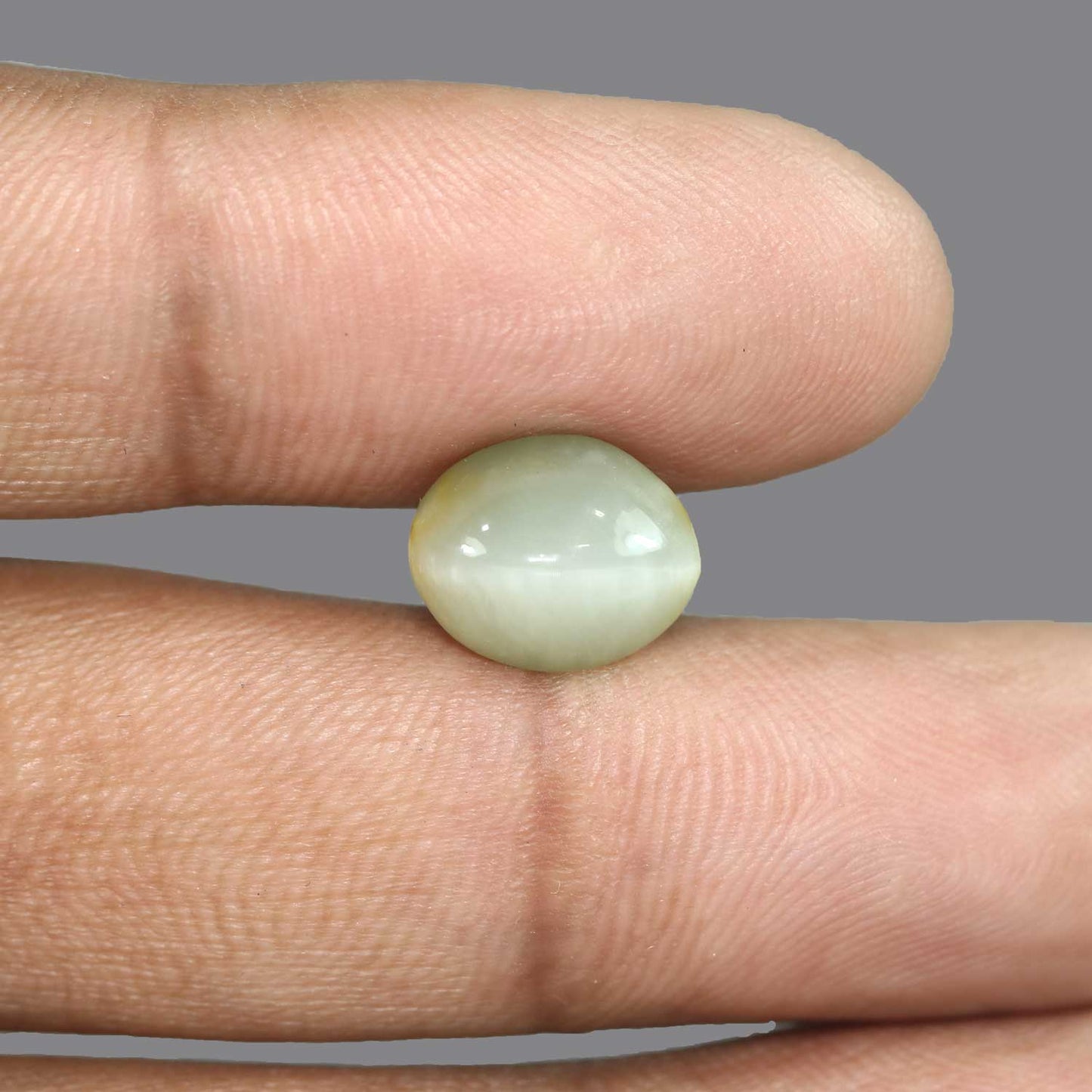 Quartz Cat's Eye - 6.38 Carat