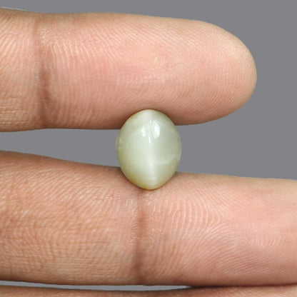 Quartz Cat's Eye - 6.38 Carat