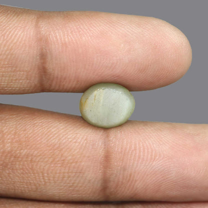 Quartz Cat's Eye - 6.38 Carat