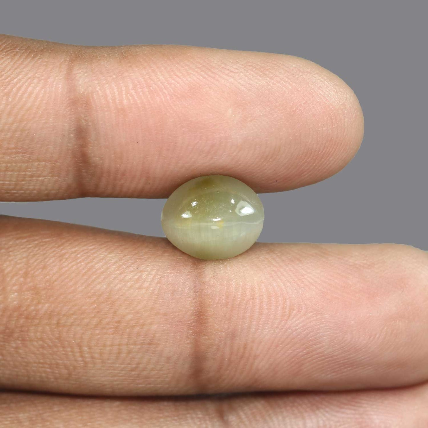 Quartz Cat's Eye - 6.01 Carat