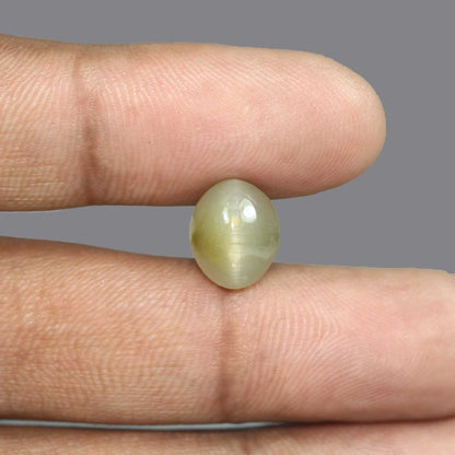 Quartz Cat's Eye - 6.01 Carat