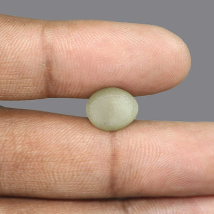 Quartz Cat's Eye - 6.01 Carat