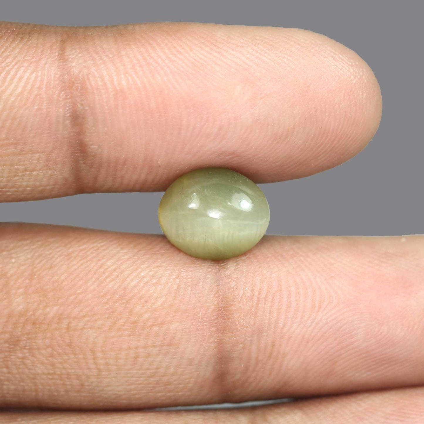 Quartz Cat's Eye - 5.64 Carat
