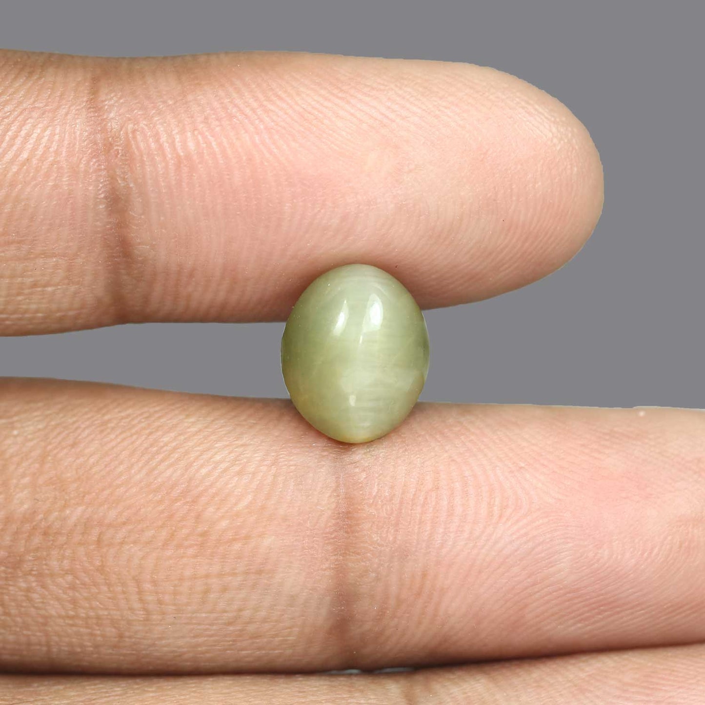 Quartz Cat's Eye - 5.64 Carat