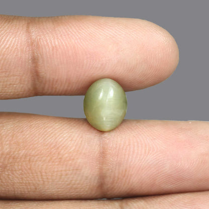 Quartz Cat's Eye - 5.64 Carat