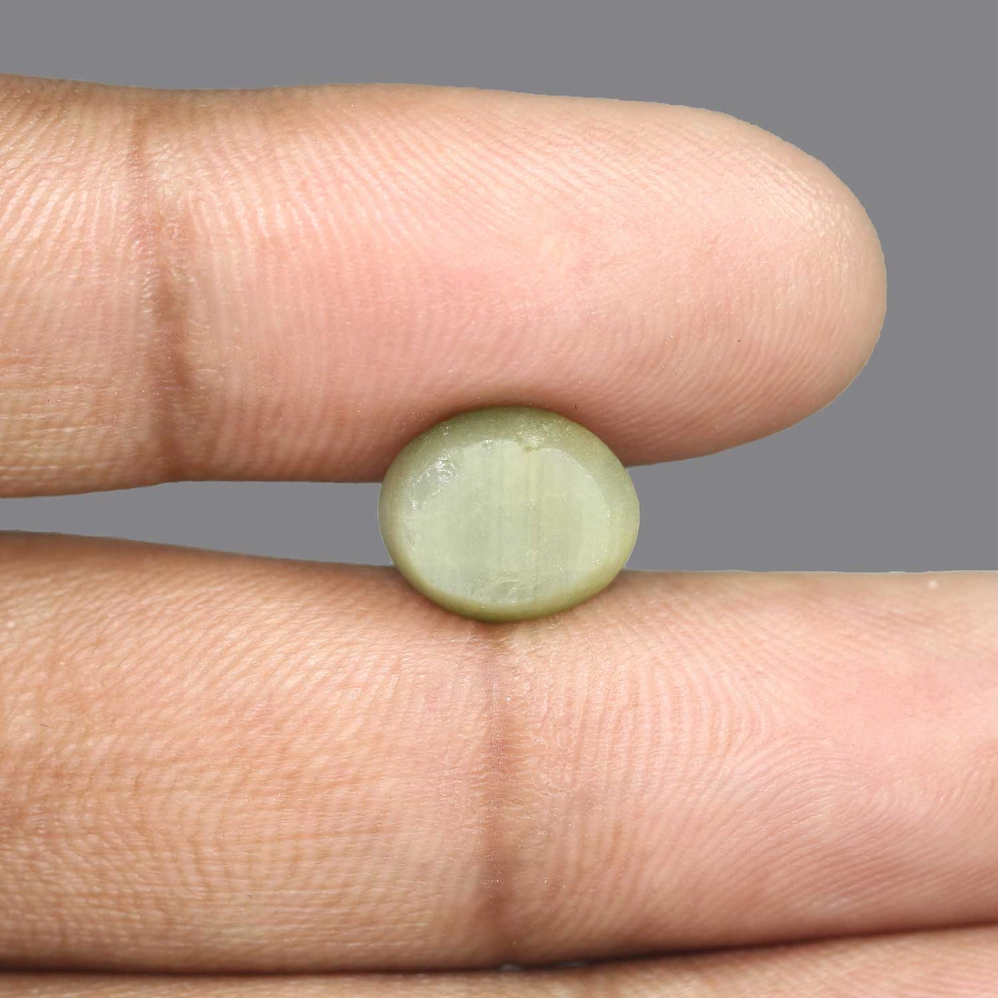 Quartz Cat's Eye - 5.64 Carat