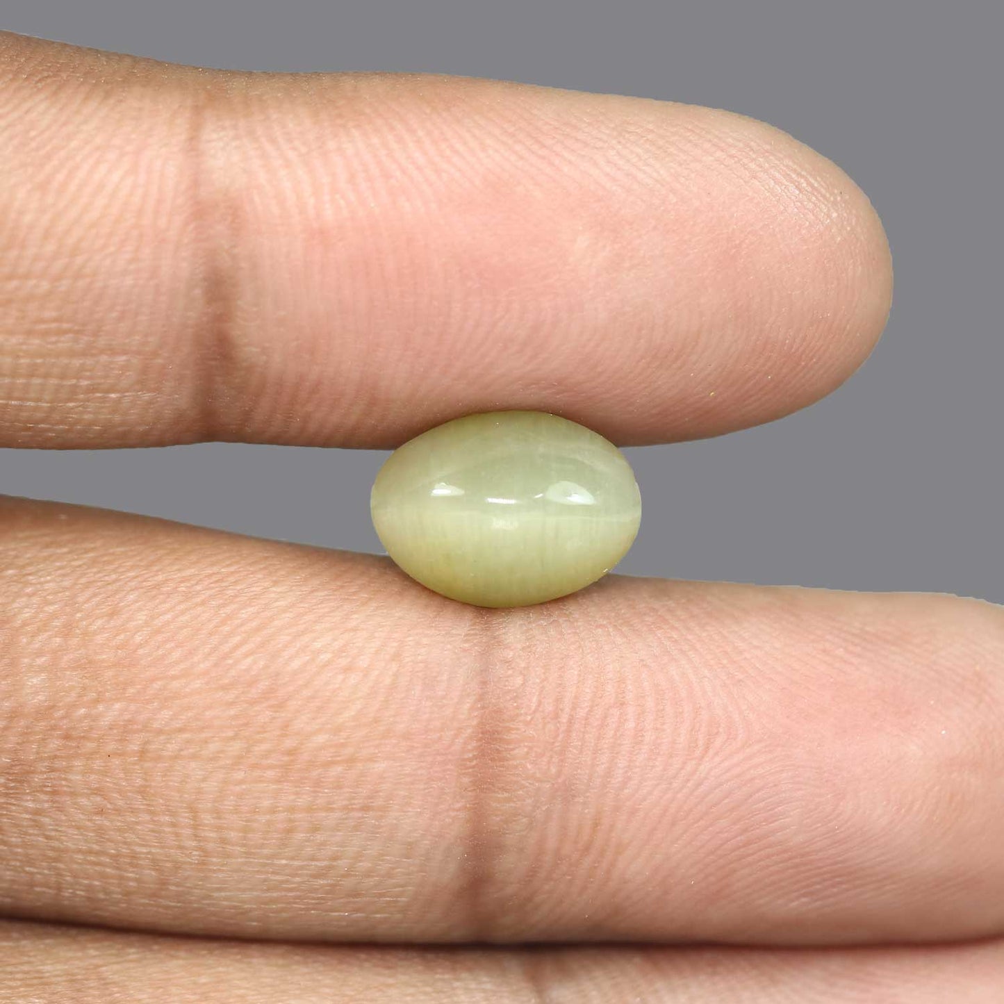 Quartz Cat's Eye - 6.51 Carat