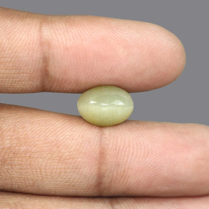 Quartz Cat's Eye - 6.51 Carat