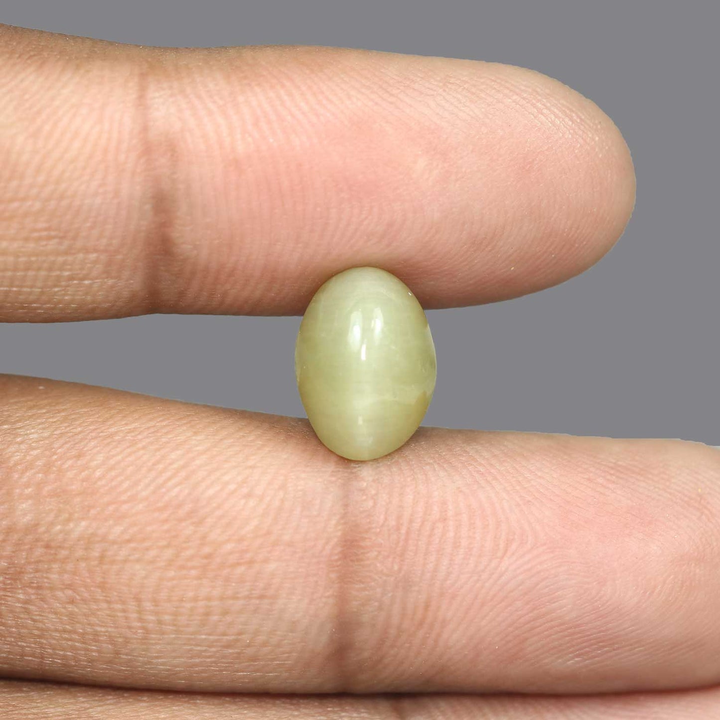 Quartz Cat's Eye - 6.51 Carat