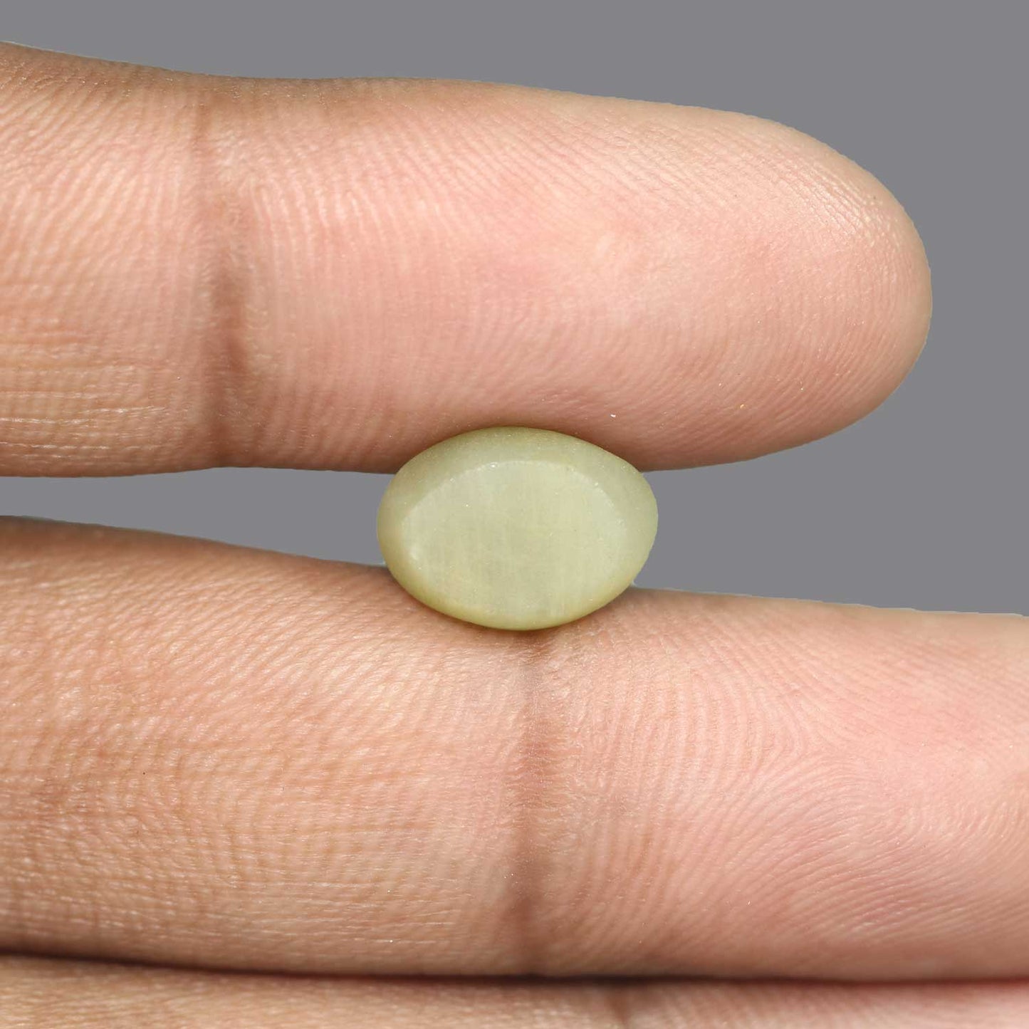 Quartz Cat's Eye - 6.51 Carat