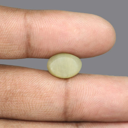 Quartz Cat's Eye - 6.51 Carat