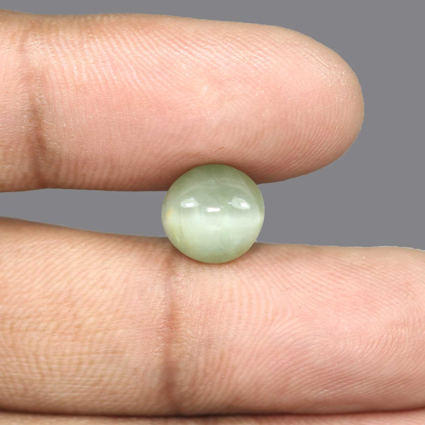 Quartz Cat's Eye - 5.7 Carat