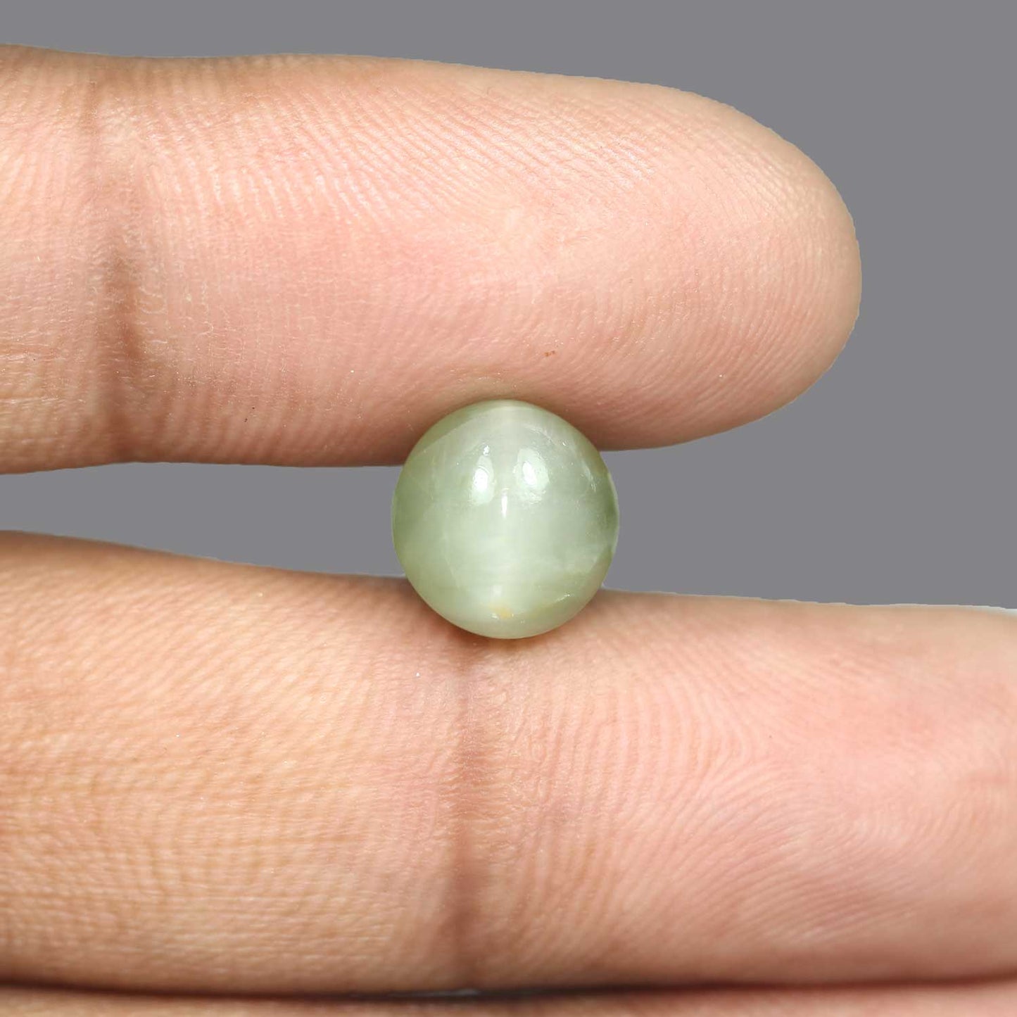 Quartz Cat's Eye - 5.7 Carat
