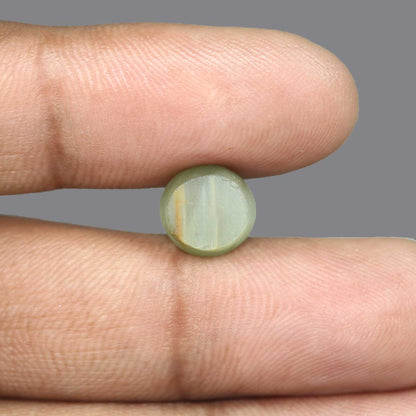 Quartz Cat's Eye - 5.7 Carat