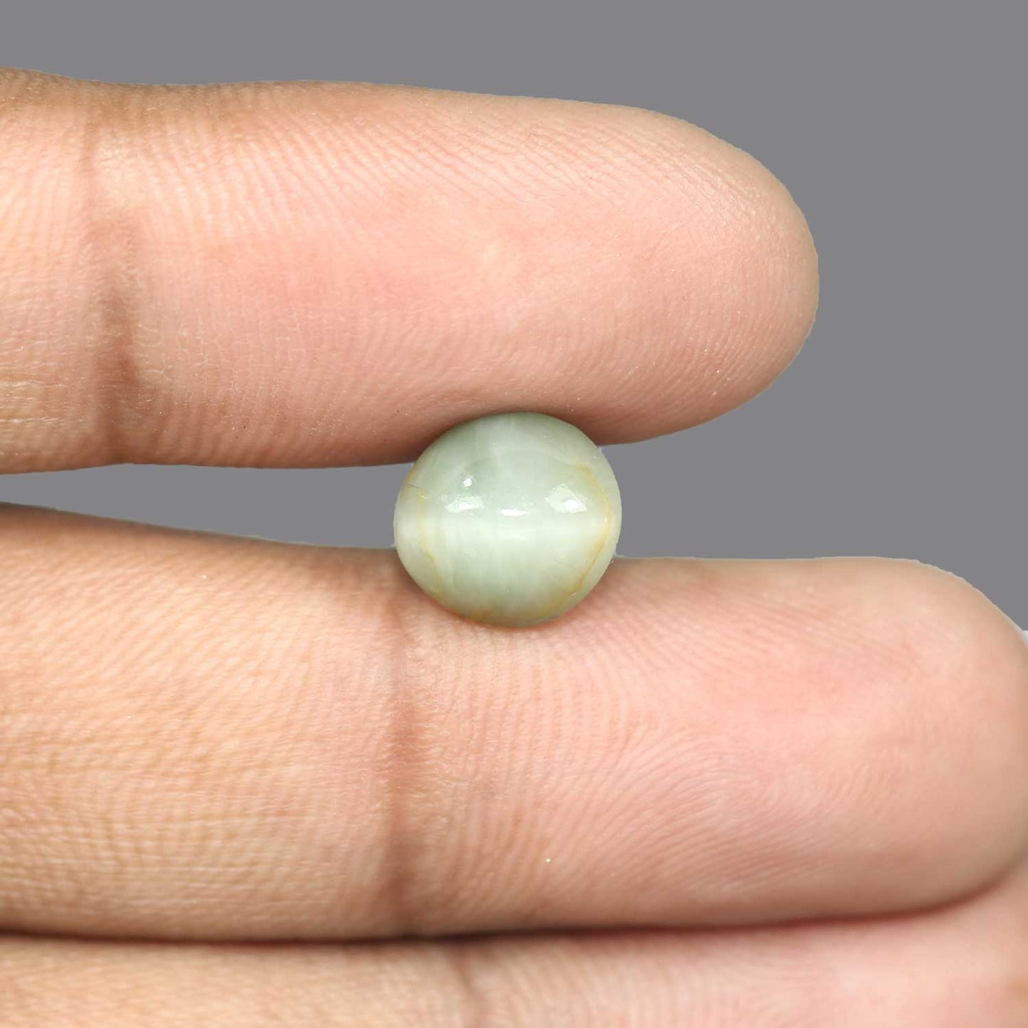 Quartz Cat's Eye - 5.79 Carat