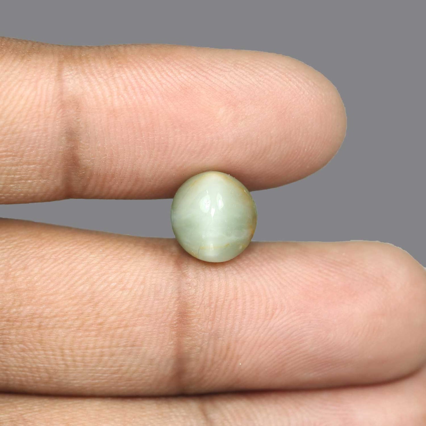Quartz Cat's Eye - 5.79 Carat