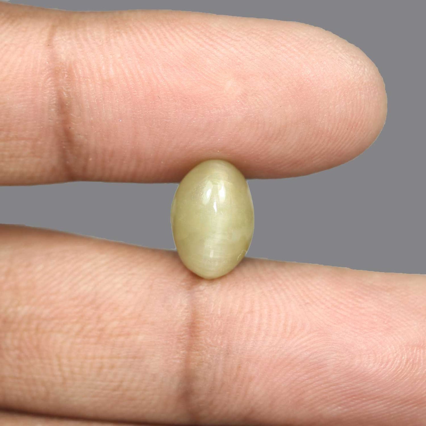 Quartz Cat's Eye - 5.94 Carat