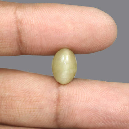Quartz Cat's Eye - 5.94 Carat